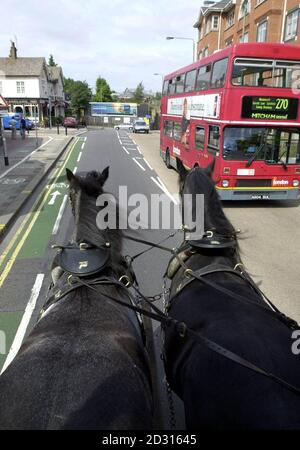 Young's Brewery Horses Harry (a sinistra) e Tom sono guidati attraverso Londra sud mentre trasportano la birra nella zona di Wandsworth, mentre il primo ministro Tony Blair stava parlando direttamente con le compagnie petrolifere nel tentativo di porre fine alla crisi della benzina. * ...dopo aver tenuto un incontro di emergenza con gli alti ministri a Downing Street. Foto Stock