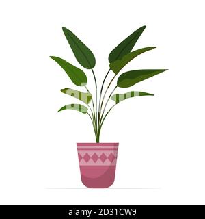 piante domestiche decorative piantate in vaso di ceramica giardino piante isolate illustrazione vettoriale Illustrazione Vettoriale