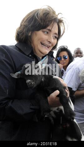 LA DIDASCALIA DI CORREZIONE RITRASMESSA DAL GIORNO INTERNAZIONALE DELLE DONNE AL GIORNO INTERNAZIONALE DELLE VEDOVE: Cherie Blair tiene un capretto per promuovere la Giornata internazionale delle vedove sul London Bridge, Londra. Foto Stock