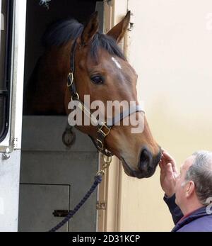 Dopo le restrizioni di piedi e bocca e i ritardi dovuti alle cattive condizioni atmosferiche, il vincitore del Grand National 2000 Papillon ritorna all'ippodromo di Aintree, a Liverpool, con personale ansioso e stabile dopo il suo viaggio dall'Irlanda. Foto Stock