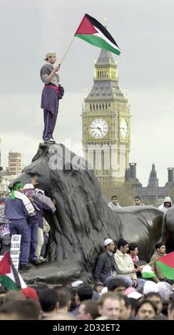 Un giovane che detiene una bandiera palestinese si trova sulla testa di uno dei leoni di Trafalgar Square, nel centro di Londra, mentre migliaia di musulmani britannici hanno tenuto una manifestazione in piazza per protestare contro l'azione israeliana contro i palestinesi in Medio Oriente. *i manifestanti hanno strappato e bruciato questa bandiera israeliana mentre hanno calettato la colonna di Nelson. Nonostante gli appelli degli organizzatori, l'Associazione Musulmana della Gran Bretagna, per mantenere l'ordine, decine di persone si sono precipitare nel centro della piazza gridando "da parte di Israele” e "jihad” - che è l'appello musulmano alla guerra Santa. Foto Stock