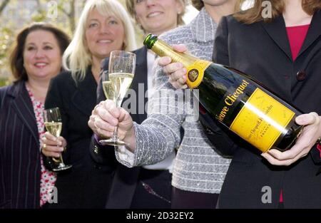 Cinque donne d'affari di alto-volo, (L-R) Chey Garland, Sly Bailey, Jo Malone, Barbara Cassani e Rachel Elnaugh. * (l-r) Fondatore e Amministratore Delegato (CEO) di Garlands Call Center, Chey Garland, CEO di IPC Media Group, Sly Bailey, Presidente di Jo Malone London, Jo Malone, Fondatore e CEO di Go Fly UK, *... Barbara Cassani e il presidente della Red Letter, Rachel Elnaugh, celebrano le loro candidature per la shortlist del premio annuale Veuve Clicquot Business Woman of the Year a Hanover Square, nel centro di Londra. Il premio è al suo trentesimo anno e i vincitori passati includono Anita Roddick of Body Shop Foto Stock