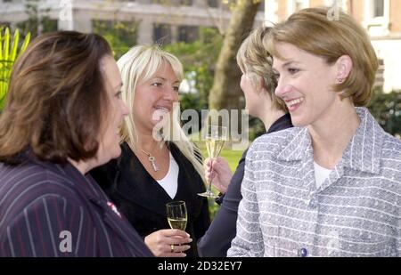 Cinque donne d'affari di alto-volo, (fronte, l-r) Chey Garland, e Barbara Cassani (posteriore L-R) Sly Bailey, Jo Malone. * Fondatore e Amministratore Delegato (CEO) di Garlands Call Center, Chey Garland, CEO di Go Fly UK, Barbara Cassani (Back, l-r) CEO di IPC Media Group, Sly Bailey e Presidente di Jo Malone London, Jo Malone (Back Row, l-r) Presidente della lettera Rossa, Rachel Elnaugh (non raffigurato), Festeggia la selezione per il premio annuale Veuve Clicquot Business Woman of the Year a Hanover Square, nel centro di Londra. Il premio è nel suo trentesimo anno e gli ultimi vincitori includono Anita Roddick of Body SH Foto Stock