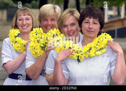 I finalisti per Marie Curie Cancer Care Nurse of the Year, (da sinistra a destra) Jacqueline Forbes di Middlewhich, Cheshire, Sally Key di Norwich, e Clare Brookes di Hartlepool, Cleveland con Marie Curie Cancer Care Nurse of the Year, Sarah Burkinshaw. *.... durante la cerimonia di premiazione, a Londra. Sarah, 37 anni, madre-di-una da Beeston, Nottingham, lavora nell'area di Trent che offre l'assistenza domestica libera alle persone gravemente ammalate di cancro ed è stato scelto per il premio dai 1,500 infermieri della carità in Inghilterra. Foto Stock