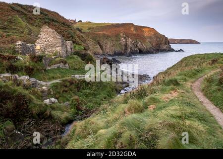 Le rovine di Trefin Mill che domina Aber Draw Bay, Trefin, Pembrokeshire, Galles, Regno Unito Foto Stock