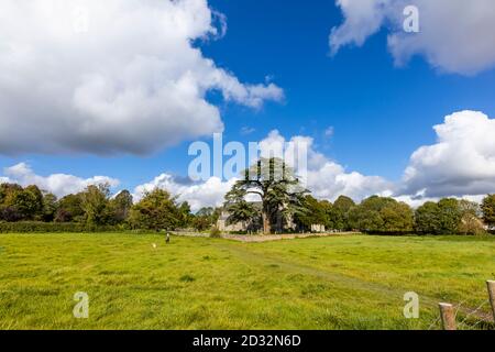 Vista panoramica della Chiesa di St Mary's con il suo cortile murato e l'albero di tasso in Great Bedwyn, un villaggio nel Wiltshire orientale, Inghilterra meridionale Foto Stock