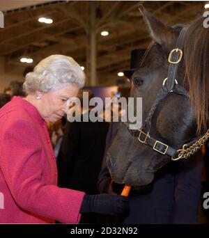 La regina Elisabetta II alimenta una carota ad un cavallo durante una visita, al National Trade Centre, luogo di esposizione a Toronto. La Regina e suo marito, il Duca di Edimburgo, sono attualmente in un tour di due settimane del Giubileo d'Oro del Canada. Foto Stock