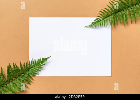 Foglio bianco su sfondo beige, decorazione foglie di felce. Vista dall'alto, disposizione piatta, spazio per la copia. Foto Stock