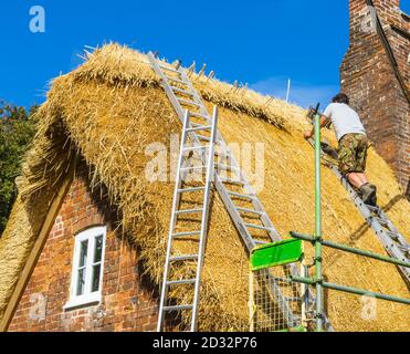 Un thatcher esperto al lavoro che sostituisce e fissa il tradizionale tetto di paglia standard di un vecchio cottage in Great Bedwyn, un villaggio nel Wiltshire, Regno Unito Foto Stock