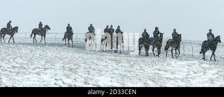 Fuori nella bizzard cavalieri e cavalli coraggiano il tempo atroce, sul galoppino a Middleham Moor, North Yorkshire, mentre la neve continua a cadere su un terreno alto. I previsori hanno previsto che ci sarebbero altre cadute, spostandosi verso sud durante il giorno. Foto Stock