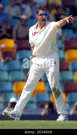 Ashley Giles in Inghilterra si appella con successo per il licenziamento di Glenn McGrath in Australia, durante la seconda giornata del primo 'Ashes' Test contro l'Australia al Gabba di Brisbane, Australia, . L'Inghilterra ha concluso il giorno 158-1 dopo il bowling verso l'Australia per il 492. Foto Stock