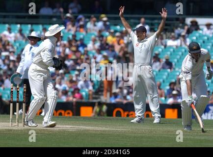 SOLO PER USO EDITORIALE. NESSUN USO COMMERCIALE : il guardiano del wicket dell'Inghilterra Alec Stewart tenta di esaurire il battsman australiano Damian Martyn (a destra) con il capitano Nasser Hussain che si alletta, durante il quinto giorno del quinto test al campo di cricket di Sydney, Sydney, Australia. Foto Stock