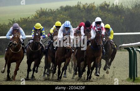 Corridori e piloti si girano l'ultima curva nel Philip Hall Memorial handicap Stakes al Lingfield Park. Foto Stock