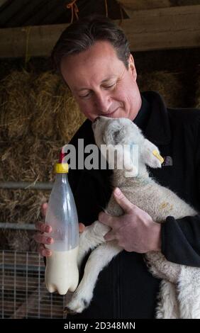 Il primo ministro David Cameron aiuta a dare da mangiare ad un agnello neonato presso la Dean Lane Farm vicino alla sua casa in Oxfordshire, prima frequentando un servizio di Pasqua domenicale con sua moglie Samantha a Oxford. Foto Stock