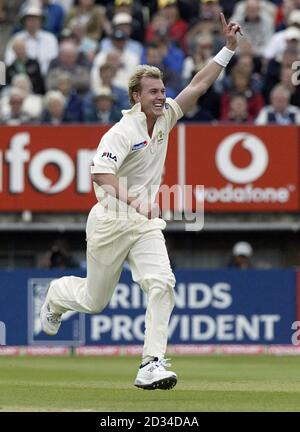 Il brett Lee dell'Australia celebra la presa del wicket del battitore dell'Inghilterra Matthew Hoggard. Foto Stock