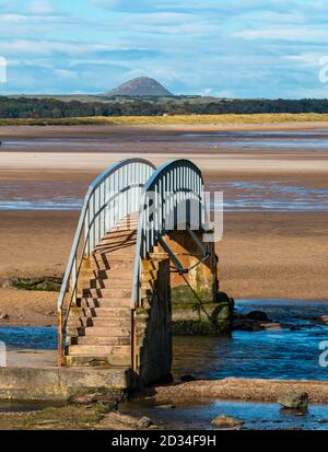 Belhaven, East Lothian, Scozia, Regno Unito, 7 ottobre 2020. Regno Unito Meteo: Sole sul Ponte a Nowhere. Il ponte sull'acqua di Biel è accessibile solo a bassa marea per i visitatori della spiaggia di Belhaven Bay con una vista della legge di Berwick in lontananza Foto Stock