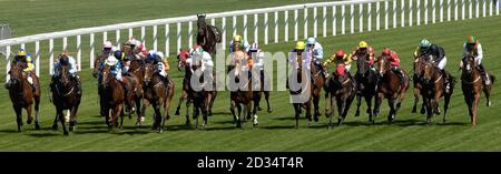 Corridori e piloti nella Hong Kong Jockey Club Sprint Cup presso l'ippodromo Ascot. Foto Stock