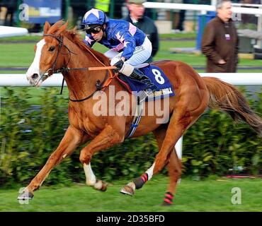 Alan Munro su Don't Panic vince il William Hill Spring Mile all'ippodromo di Doncaster, Doncaster. Foto Stock