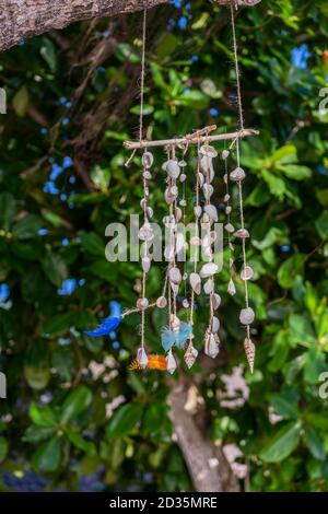 Conchiglie appese su sfondo verde a foglia, primo piano Foto Stock