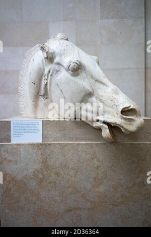 Grecia. Atene. Partenone. Testa di cavallo dal carro della luna-goddes Selene. Frontone orientale. 5 a.C. British Museum. Londra. Regno Unito Foto Stock