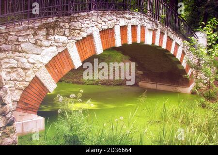 Ponte di pietra sullo stagno. Anatre fiorite nel lago. Bellissimo ponte sul fiume con alghe. Lago contaminato da anatre. Foto Stock