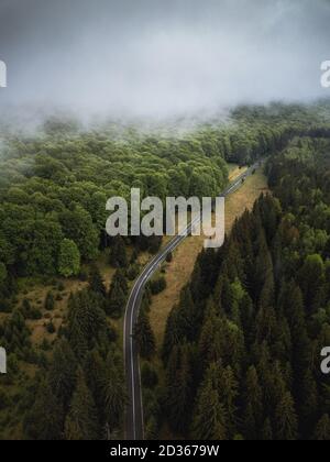 Bella strada vuota attraverso la foresta. Moody, alberi foggy dall'alto. Viaggio, concetto vintage. Foto Stock