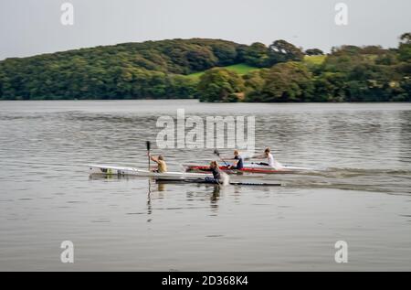 Canottaggio duro nell'addestramento del randello della canoa sul fiume Foto Stock