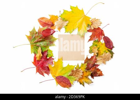 Una corona di brillanti foglie di acero e quercia autunnali colorate. Colori autunnali, foglie cadute. Foglie d'autunno rosse, gialle, verdi e bearded. Autunno o Thanksgivi Foto Stock