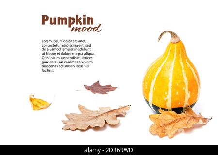 Composizione autunnale, composizione con zucca e foglie d'autunno essiccate, foglie di quercia e acero. Zucche bicolore Kleine a forma di pera. Sfondo bianco isolato. Foto Stock