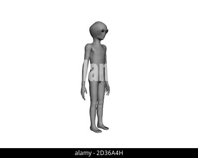 piccolo maschio grigio come uno straniero Foto Stock