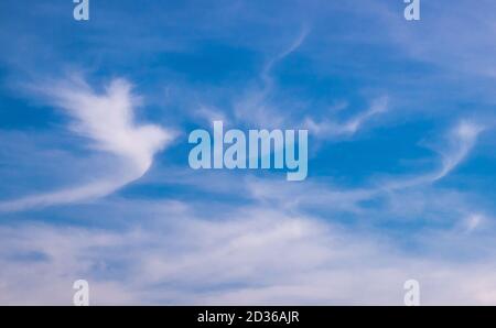 Nuvola di angelo in forma di colomba bianca sul cielo blu Foto Stock