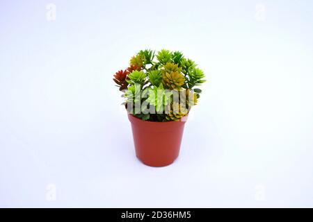 pianta di plastica in vaso marrone su fondo bianco. isolato falso succulente con spazio di copia Foto Stock