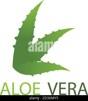 Modello di immagine vettoriale del logo Aloe vera Illustrazione Vettoriale