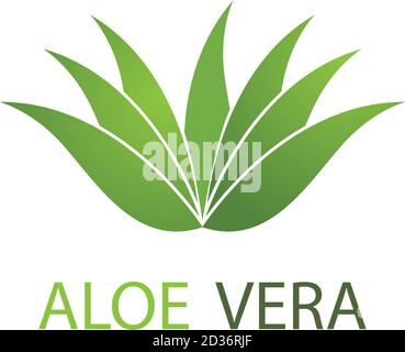 Modello di immagine vettoriale del logo Aloe vera Illustrazione Vettoriale