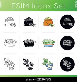 Set di icone per i pasti vegetariani. Illustrazione Vettoriale