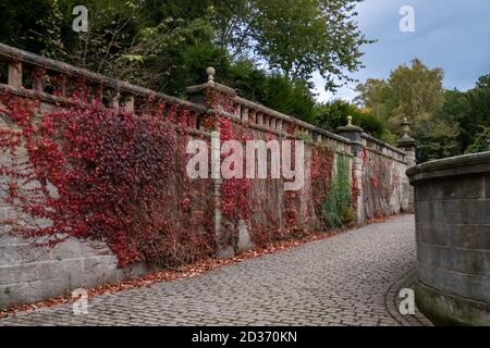 Glasgow, Scozia, Regno Unito. 7 ottobre 2020. Regno Unito Meteo: Colori autunnali a Pollok House. Credito: SKULLY/Alamy Live News Foto Stock