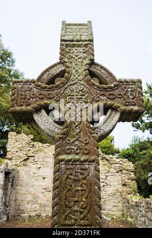 Croce celtica nella chiesa medievale e cimitero stabilito dai Cavalieri Ospitalieri di St John, Johnstown, County Kildare, Irlanda Foto Stock