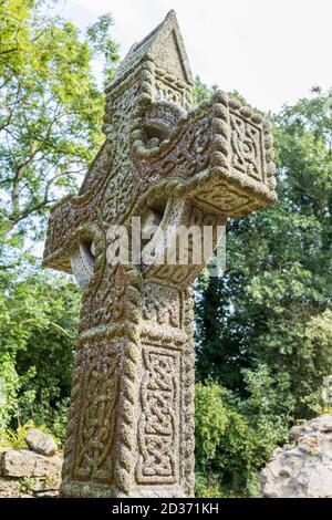 Croce celtica nella chiesa medievale e cimitero stabilito dai Cavalieri Ospitalieri di St John, Johnstown, County Kildare, Irlanda Foto Stock