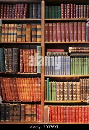 Un libro scaffale pieno di vecchi libri. Foto Stock