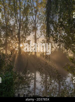 Alençon, Francia - 10 03 2020: La riva del fiume in una mattina di nebbia e sole Foto Stock