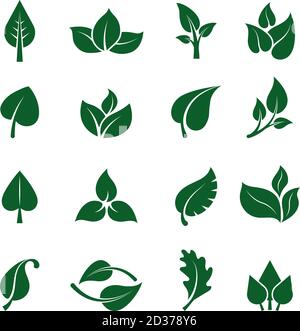 Logo Leaves. Piante verdi stilizzate per progetti di progettazione eco-business design giardino naturale pulito Illustrazione Vettoriale