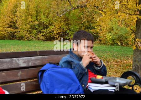 Primo piano di un piccolo scolaro seduto su una panchina del Parco e aprendo lo zaino della scuola durante una pausa pranzo. Mangiare un panino fuori da una scatola per il pranzo. Foto Stock