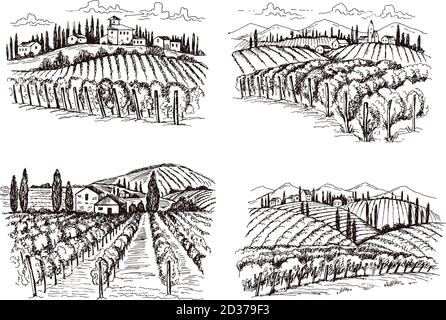 Vigneto. Old france Chateau vino paesaggio illustrazioni vettoriali disegnate a mano per progetti di progettazione etichette Illustrazione Vettoriale