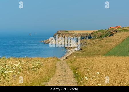 Percorso attraverso i campi sulle scogliere della costa opale francese. Foto Stock