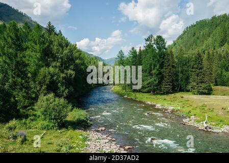 Bella montagna piccolo fiume con acqua limpida nella foresta tra la ricca flora in giornata di sole. Meraviglioso paesaggio di montagna ruscello con acqua trasparente. Foto Stock