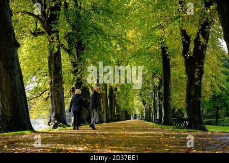 Una coppia anziana che cammina insieme attraverso l'Avenham Park a Preston, Lancashire. Foto Stock