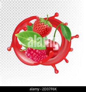 Giardino e frutti di bosco. Vettore succo realistico spruzzi, lampone, fragola, ciliegia isolato su sfondo trasparente Illustrazione Vettoriale