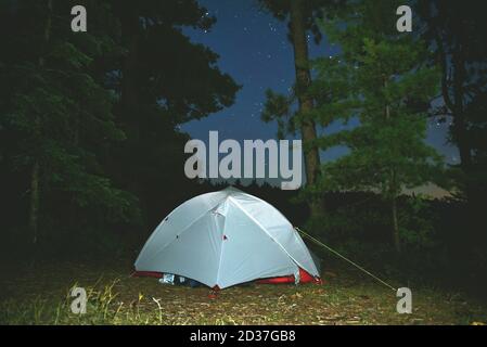 Tenda grigia e rossa di notte, allestita sotto alberi di pino nel backcountry dell'Ontario settentrionale. Foto Stock