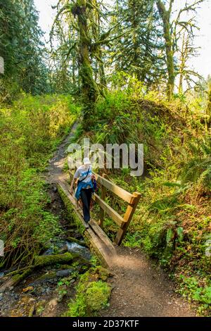 Hiker (Model Release 20020923-10) e Dog (Miniature Golden Doodle) sul Lime Kiln Trail vicino a Granite Falls, Washington state, USA, che è parziale Foto Stock