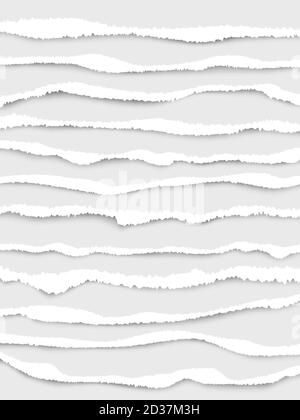 Bordi della carta strappati. Cut Strip note bianche linee strappate vettore raccolta realistica Illustrazione Vettoriale